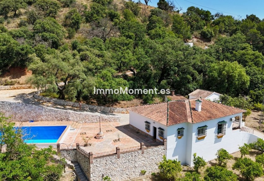 Bestaande woning - Villa - Binnenland  - Alhaurín el Grande Centro