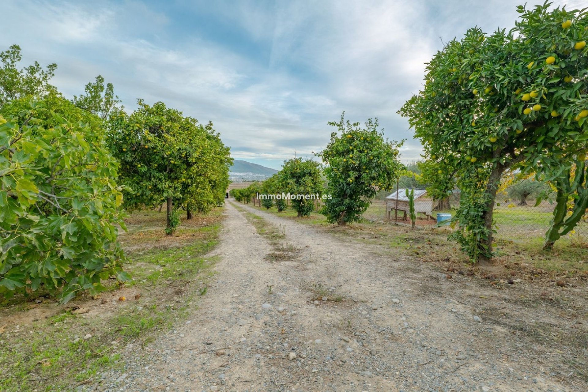 Bestaande woning - Villa - Binnenland  - Alhaurín el Grande Centro