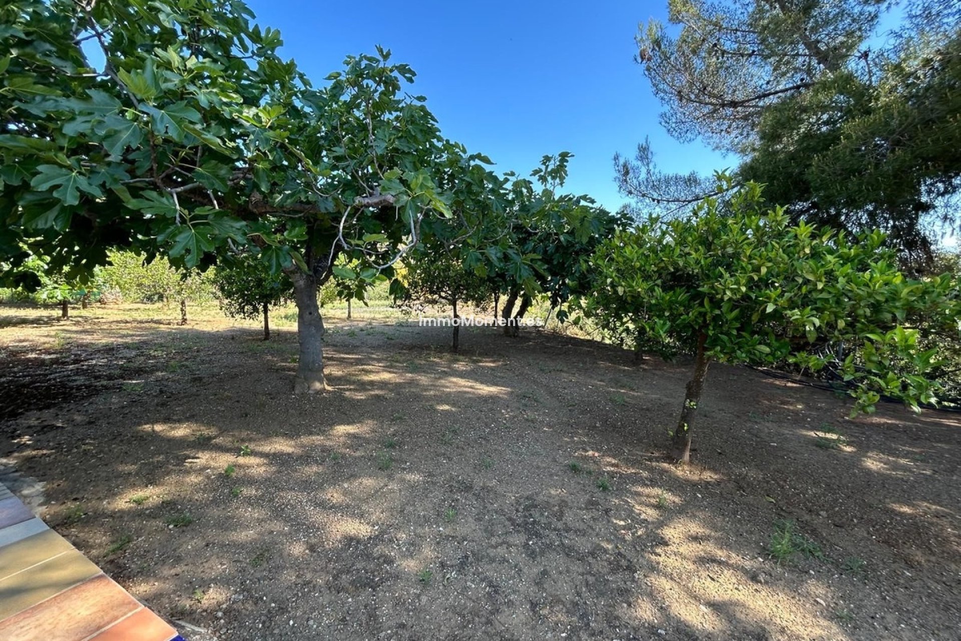 Bestaande woning - Villa - Binnenland  - Alora