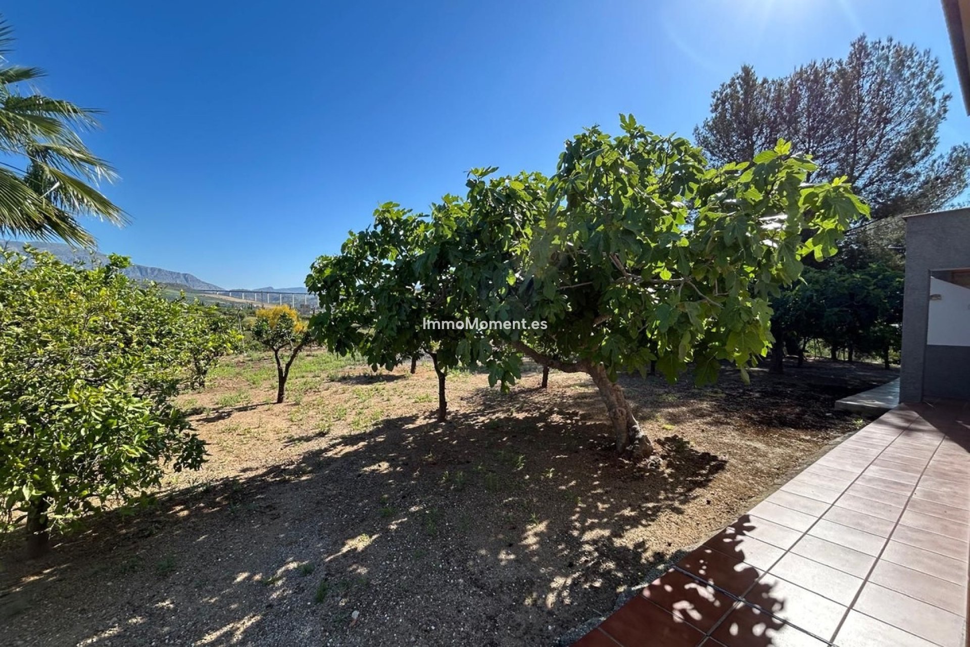 Bestaande woning - Villa - Binnenland  - Alora