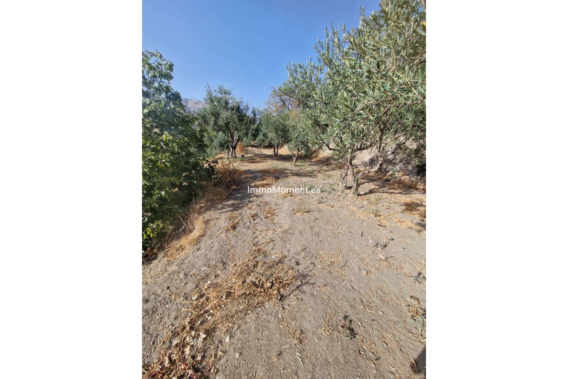 Bestaande woning - Villa - Binnenland  - Alora