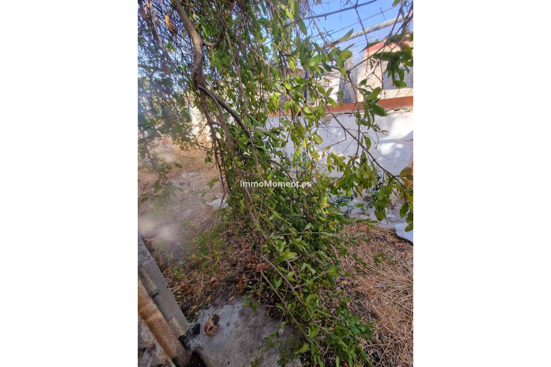 Bestaande woning - Villa - Binnenland  - Alora