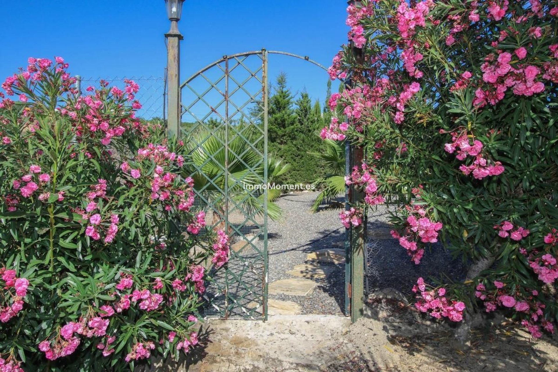 Bestaande woning - Villa - Binnenland  - Pizarra