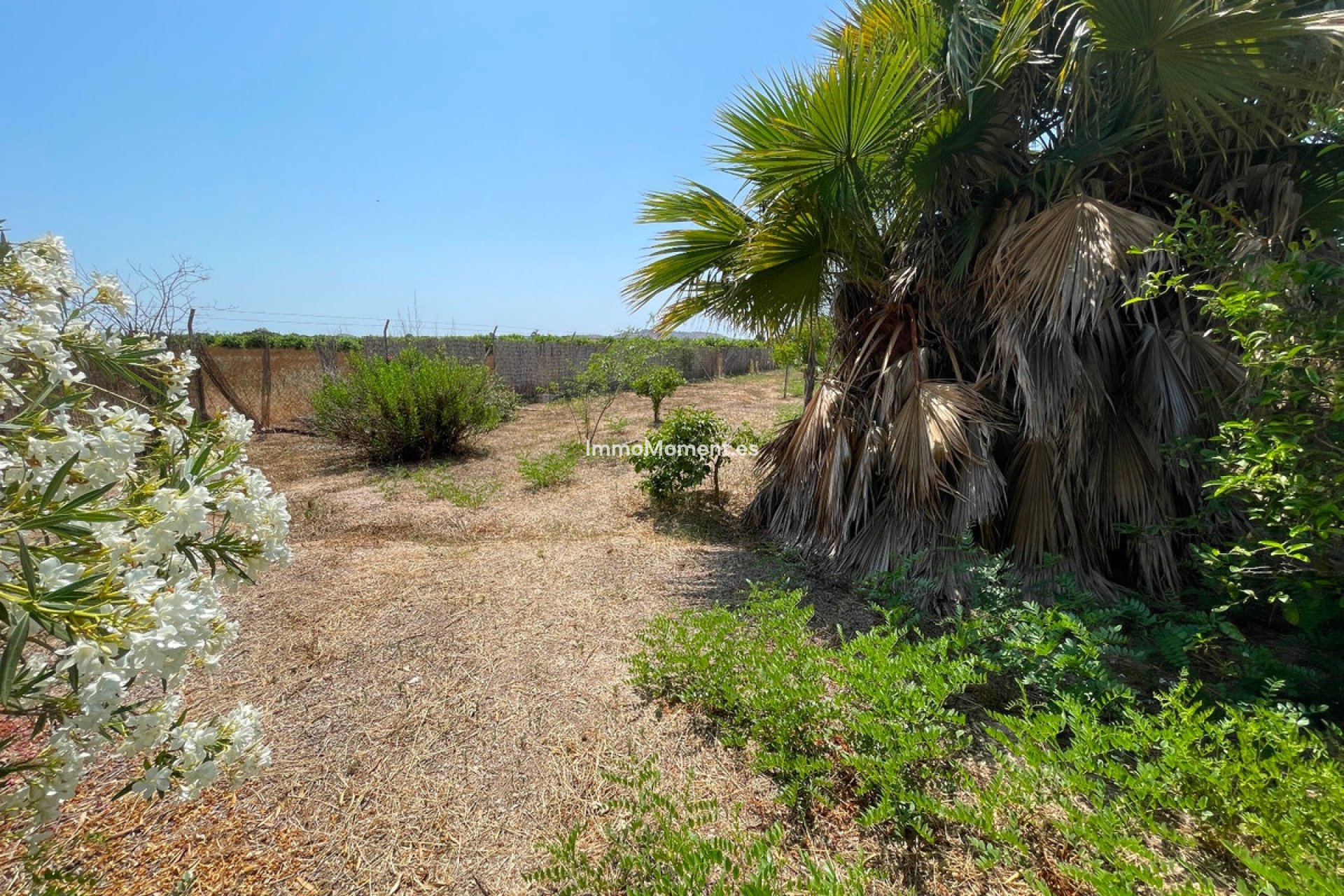 Bestaande woning - Villa - Daya Nueva - Daya Nueva Centro