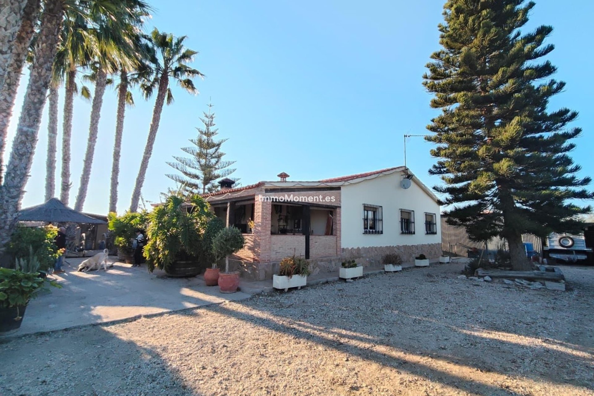 Bestaande woning - Villa - Elche - Las Bayas
