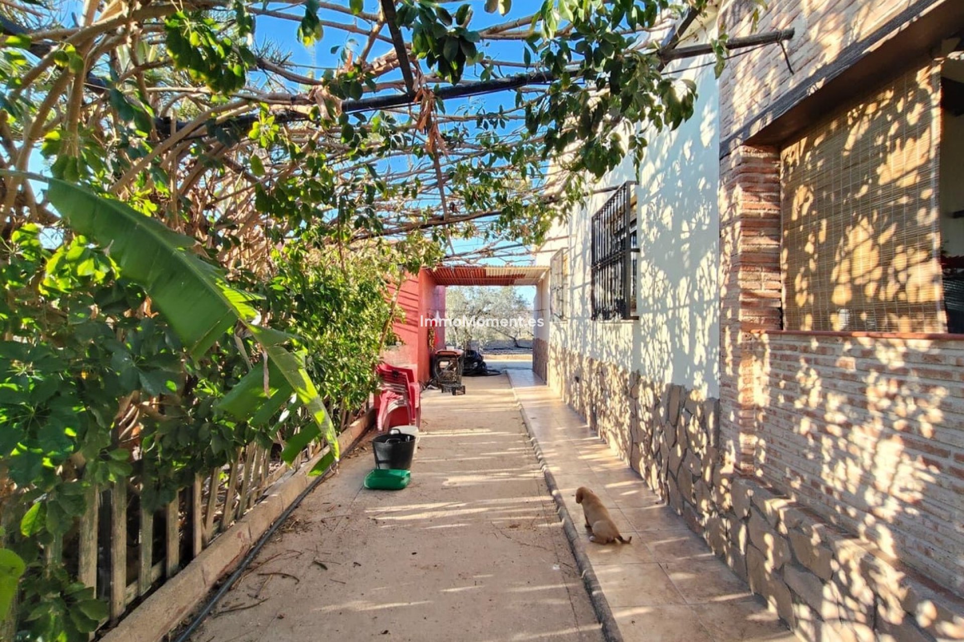 Bestaande woning - Villa - Elche - Las Bayas