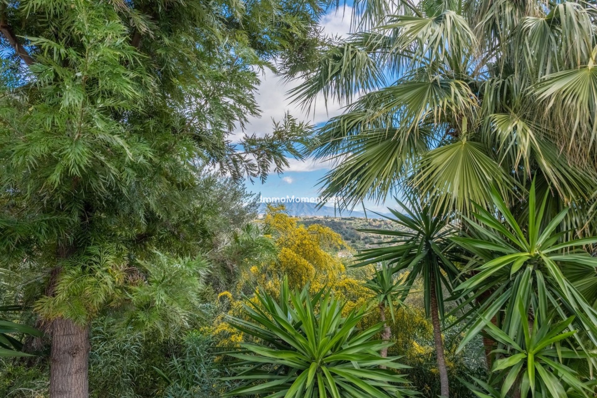 Bestaande woning - Villa - Estepona  - Estepona Centro