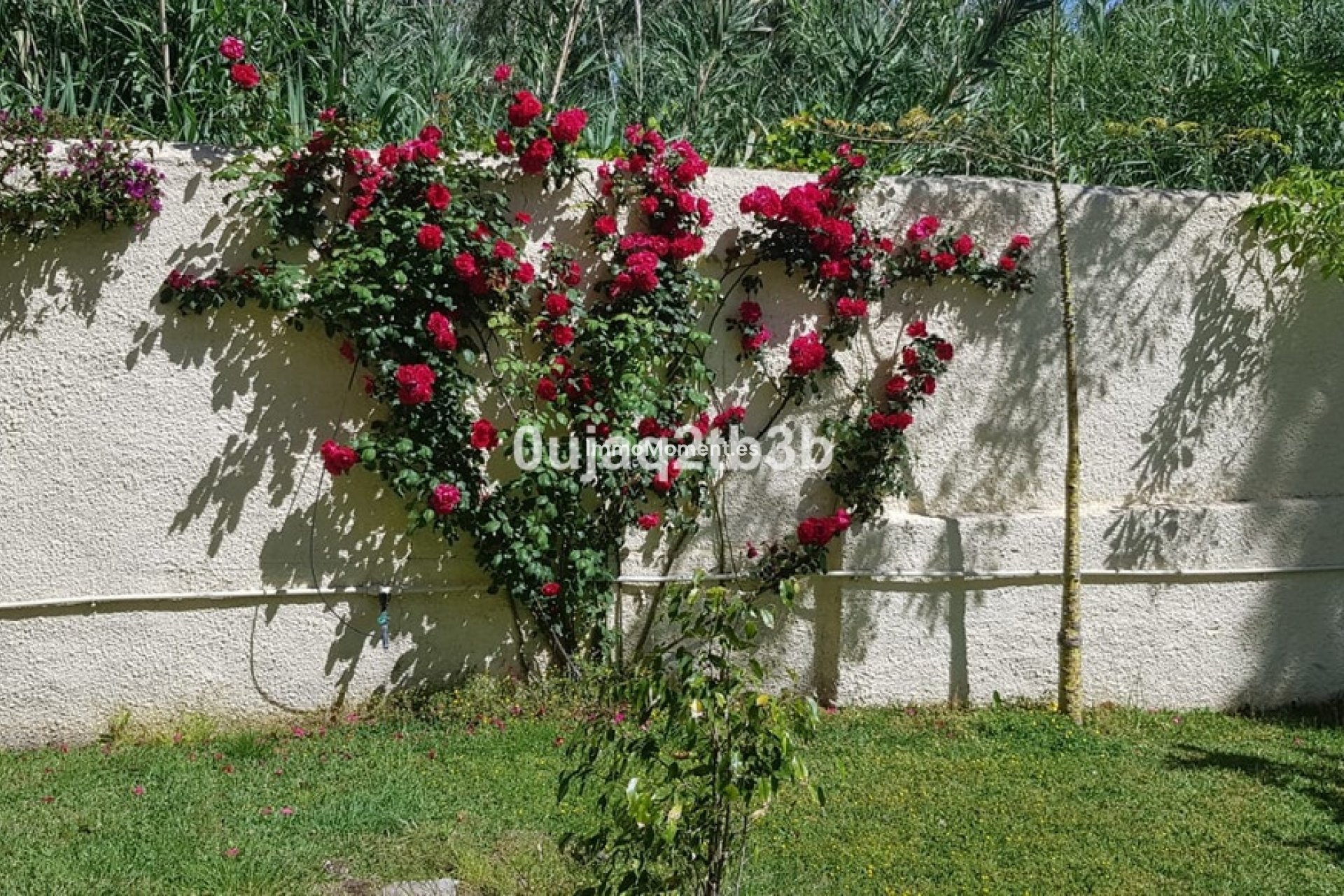 Bestaande woning - Villa - Estepona  - New Golden Mile