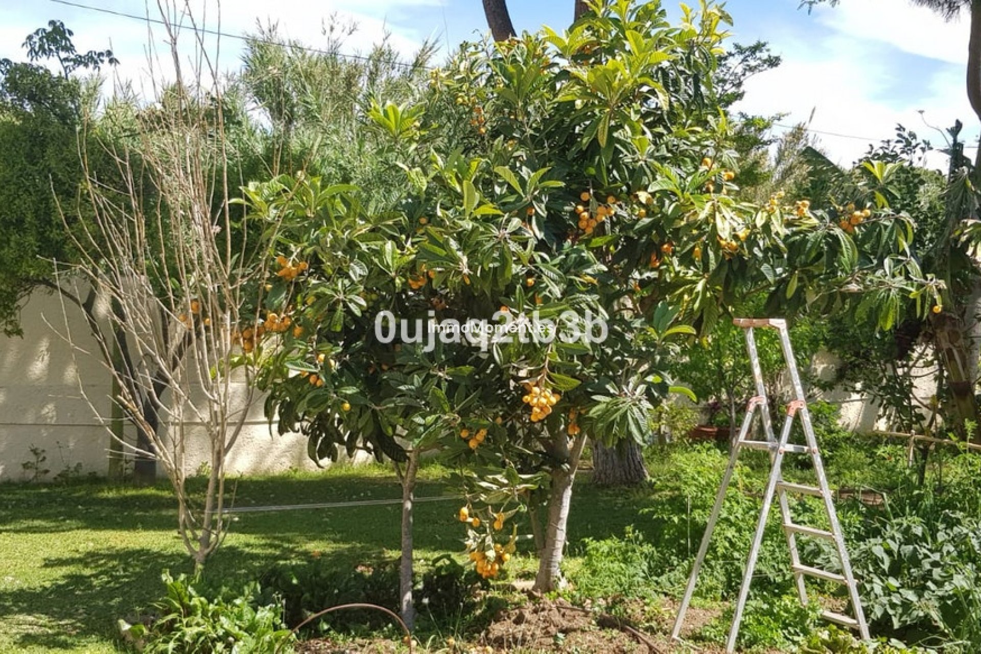 Bestaande woning - Villa - Estepona  - New Golden Mile