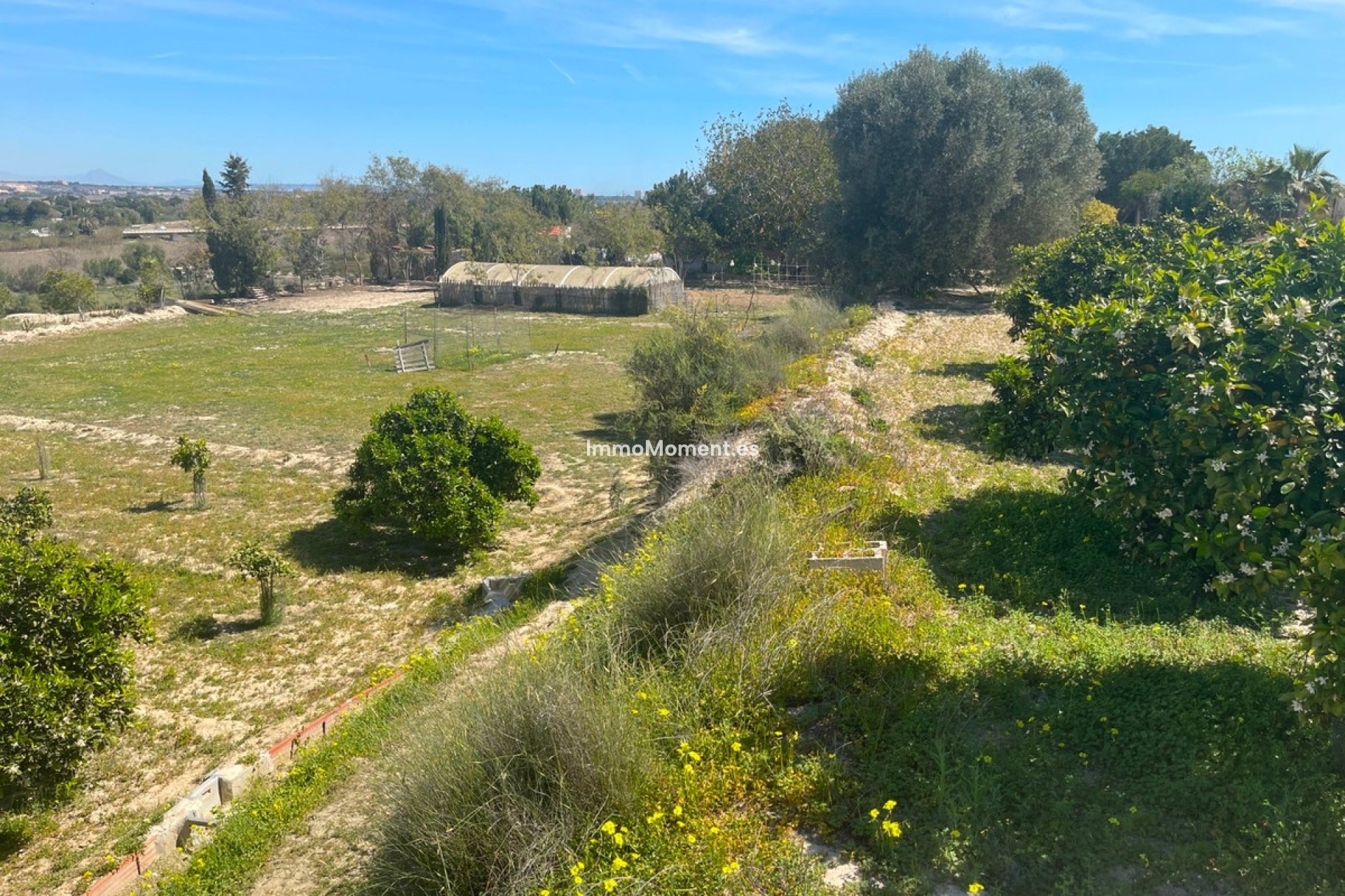 Bestaande woning - Villa - Guardamar del Segura - Guardamar del Segura Centro
