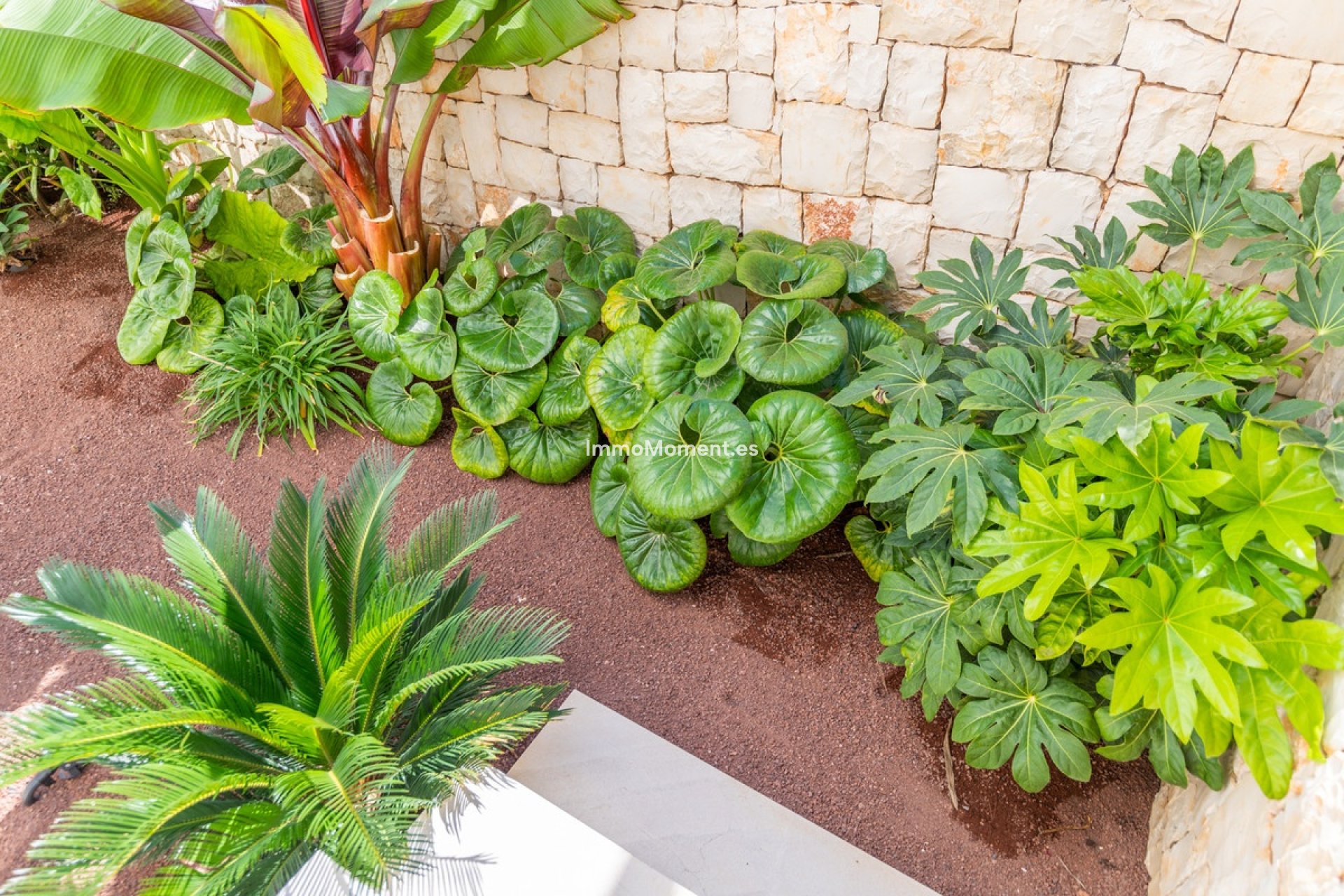 Bestaande woning - Villa - Jávea - Jávea - Xàbia Centro