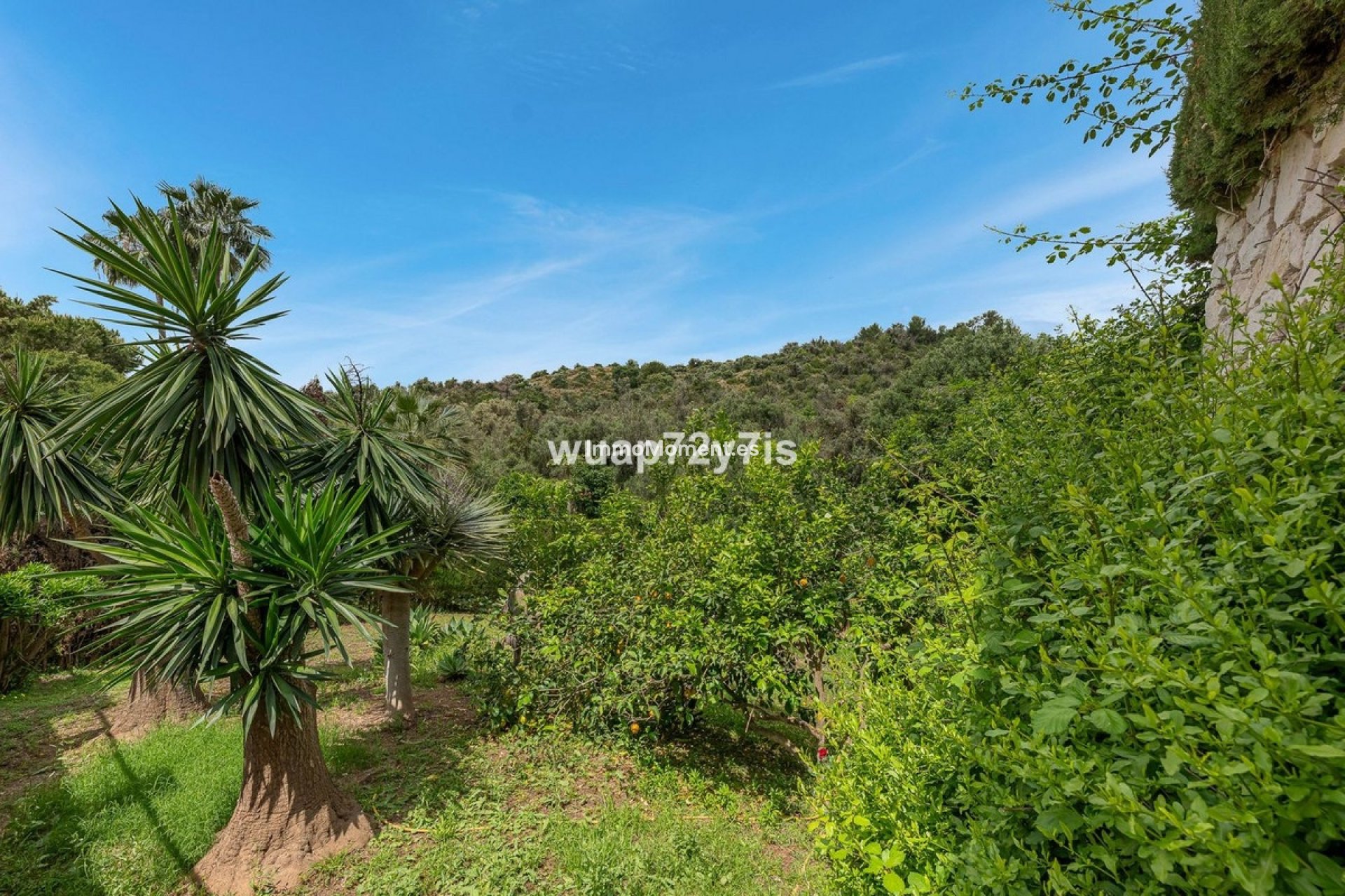 Bestaande woning - Villa - Marbella - El Rosario