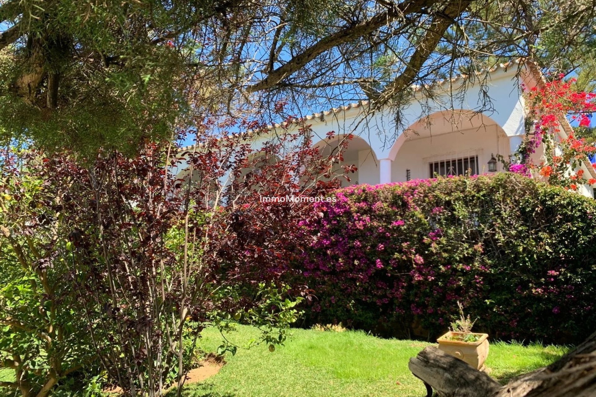 Bestaande woning - Villa - Marbella - Marbesa