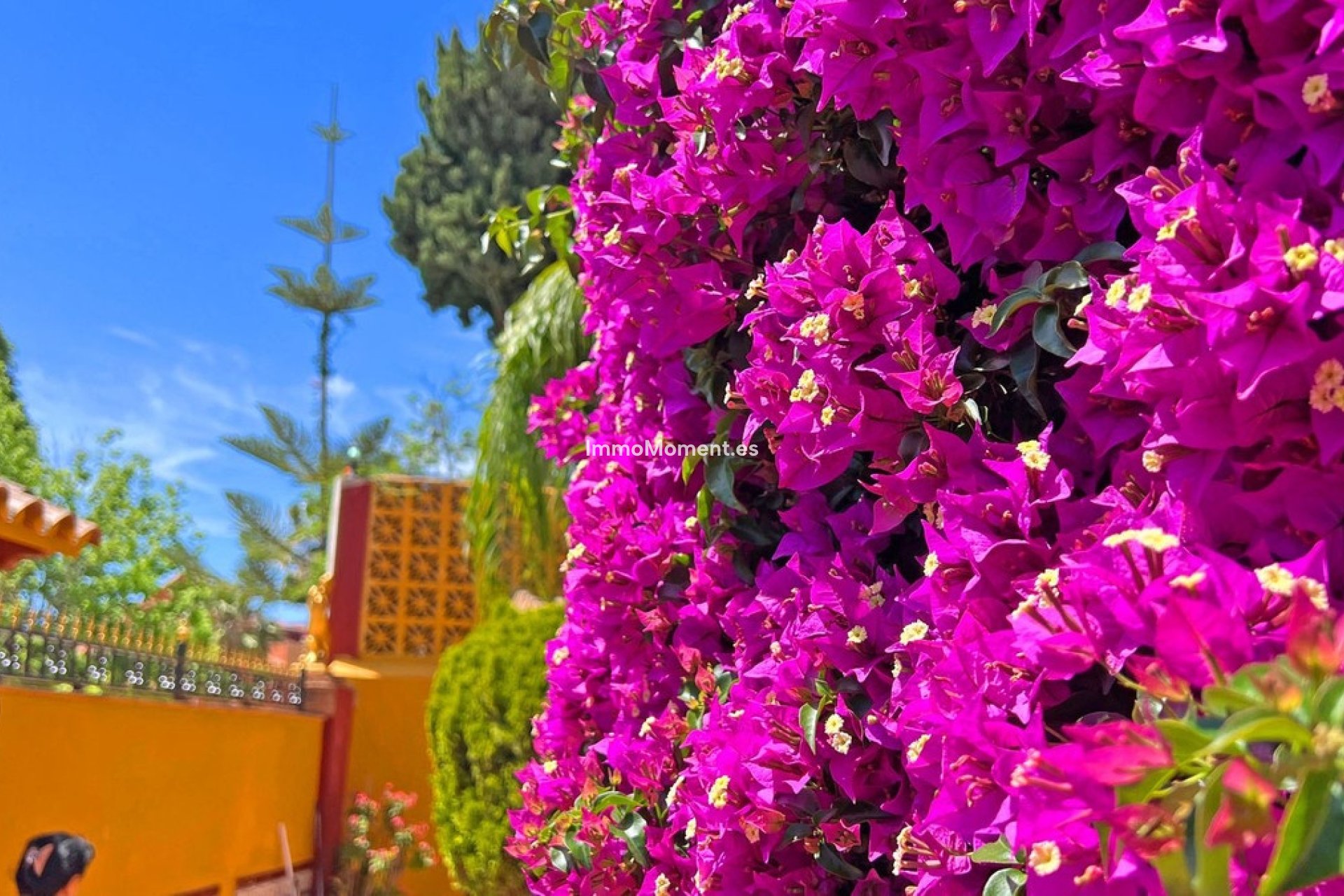 Bestaande woning - Villa - Marbella - Reserva de Marbella