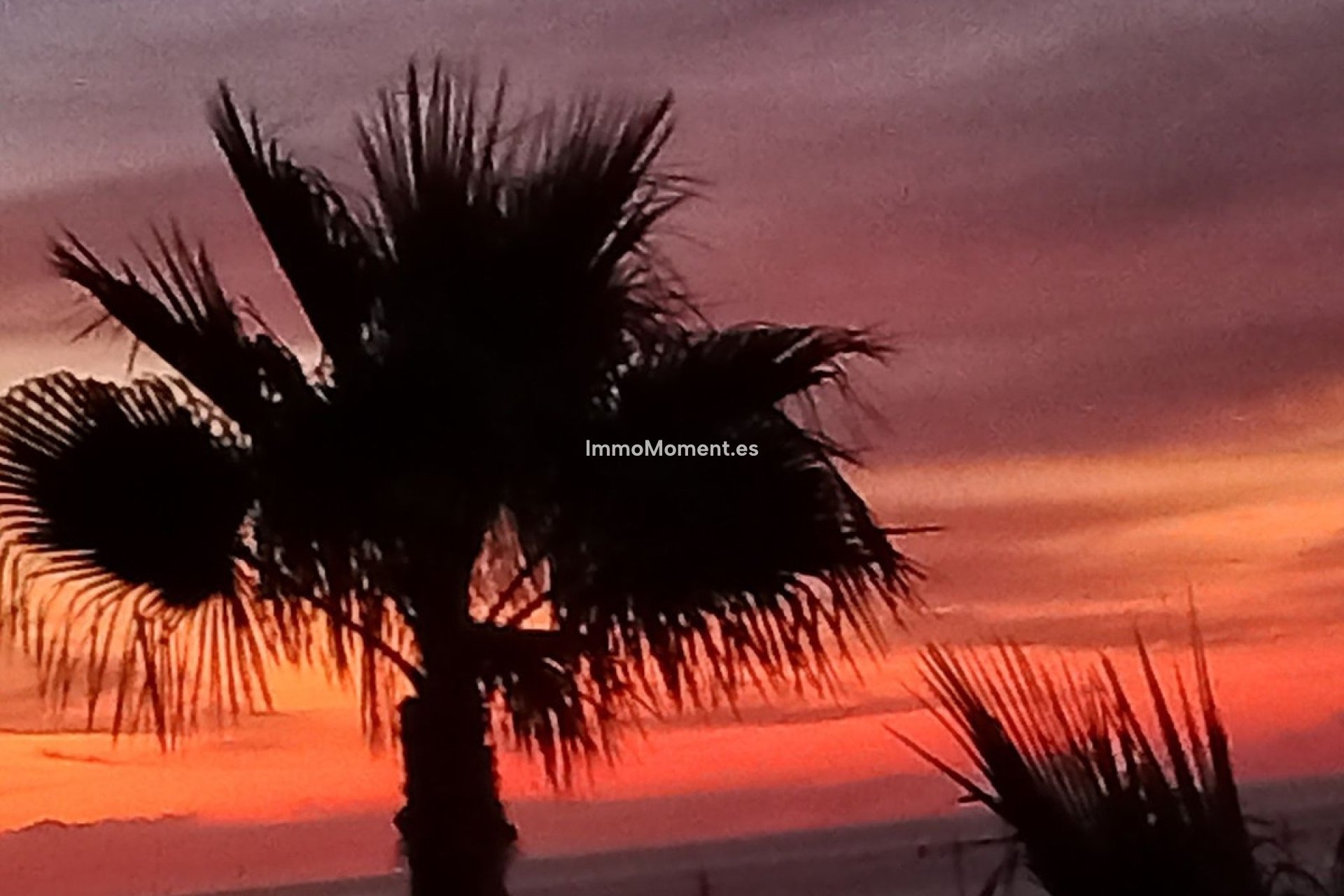 Bestaande woning - Villa - Mijas - Mijas Costa