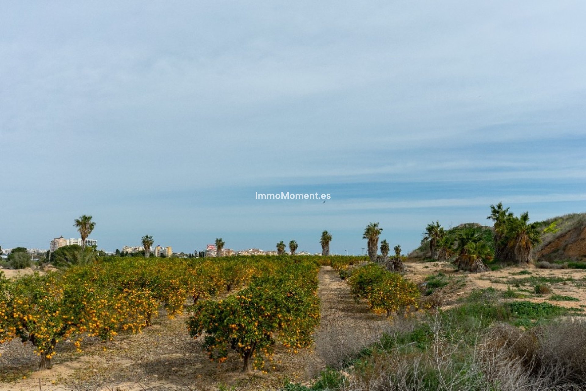 Bestaande woning - Villa - Orihuela - Los Altos