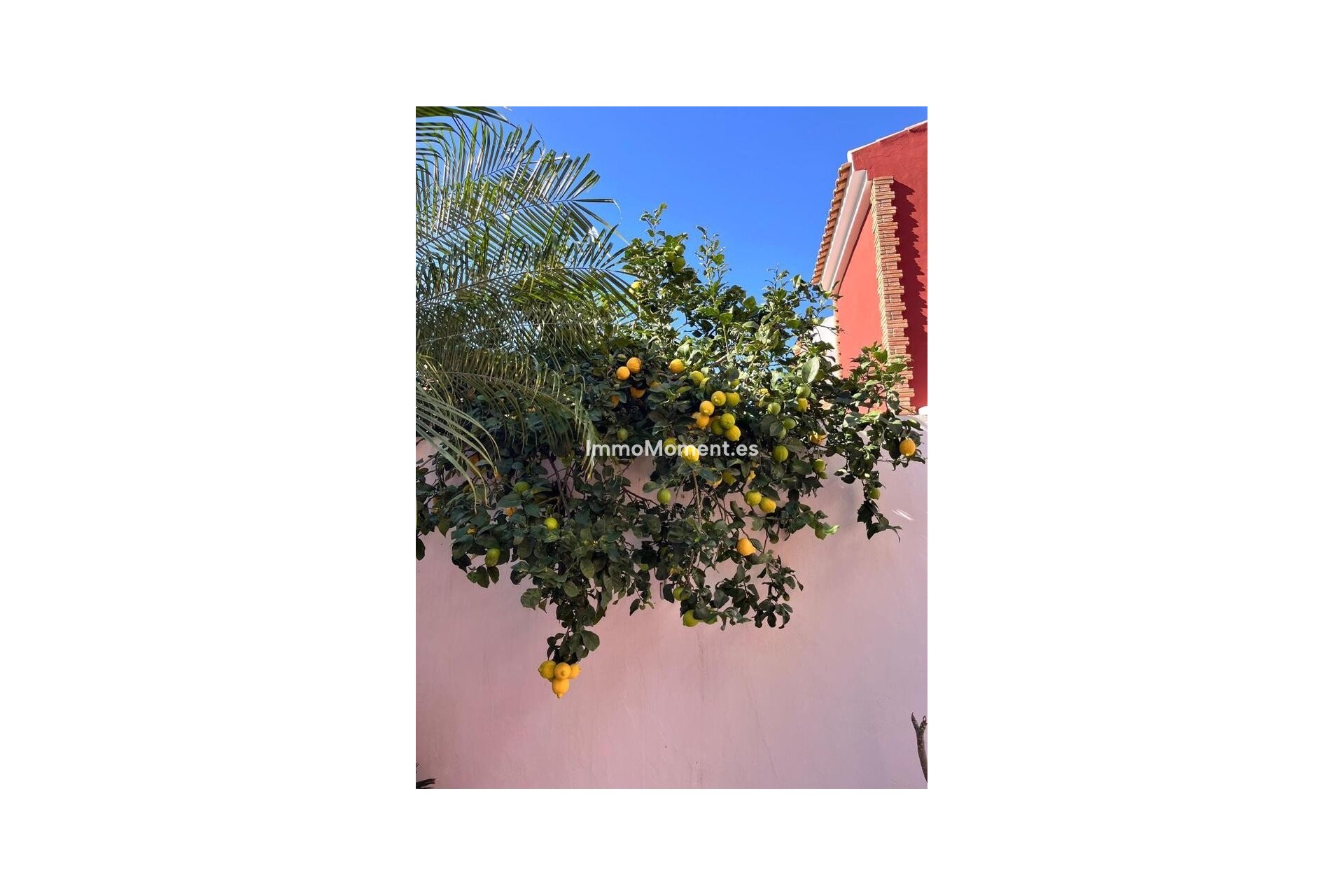 Bestaande woning - Villa - Pilar de la Horadada - Torre de la Horadada