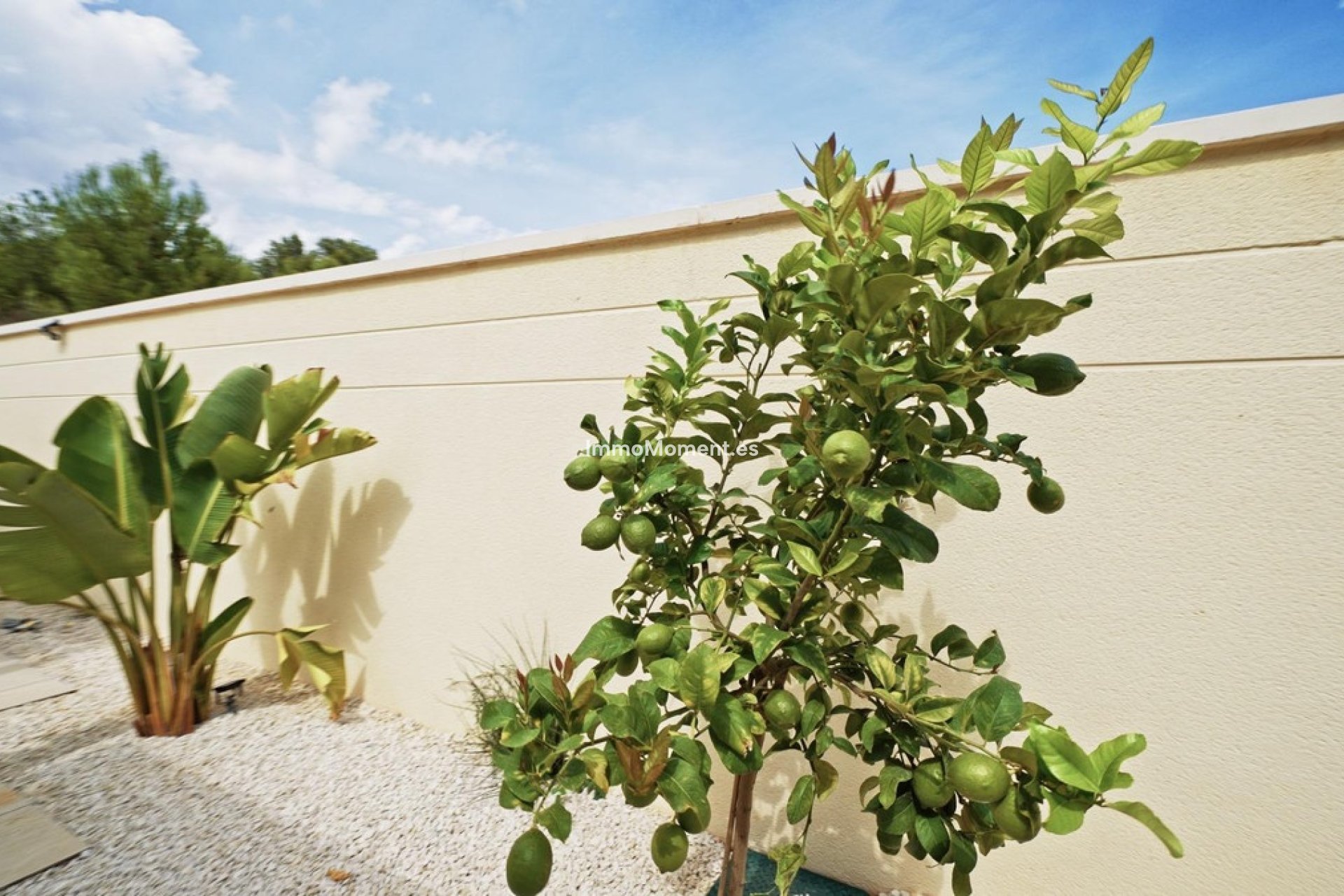 Bestaande woning - Villa - Polop - Polop Centro