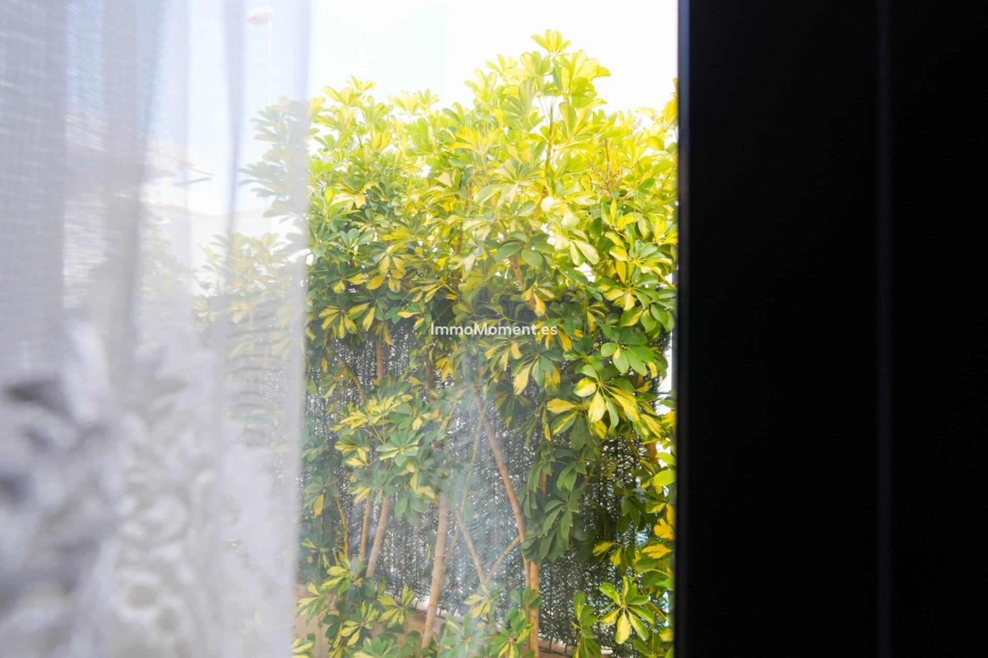 Bestaande woning - Villa - Rojales - Ciudad Quesada