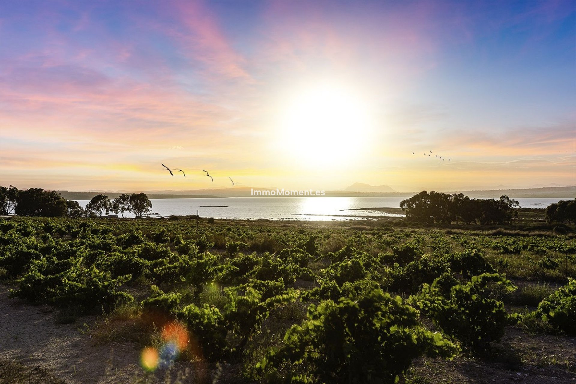 Bestaande woning - Villa - Rojales - Ciudad Quesada