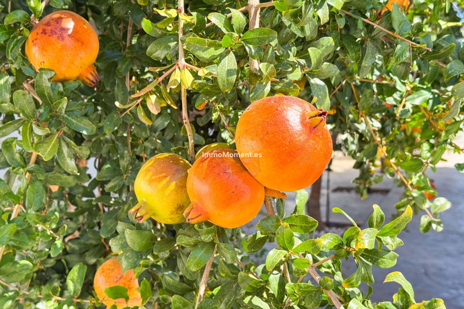 Bestaande woning - Villa - San Fulgencio - San Fulgencio Centro