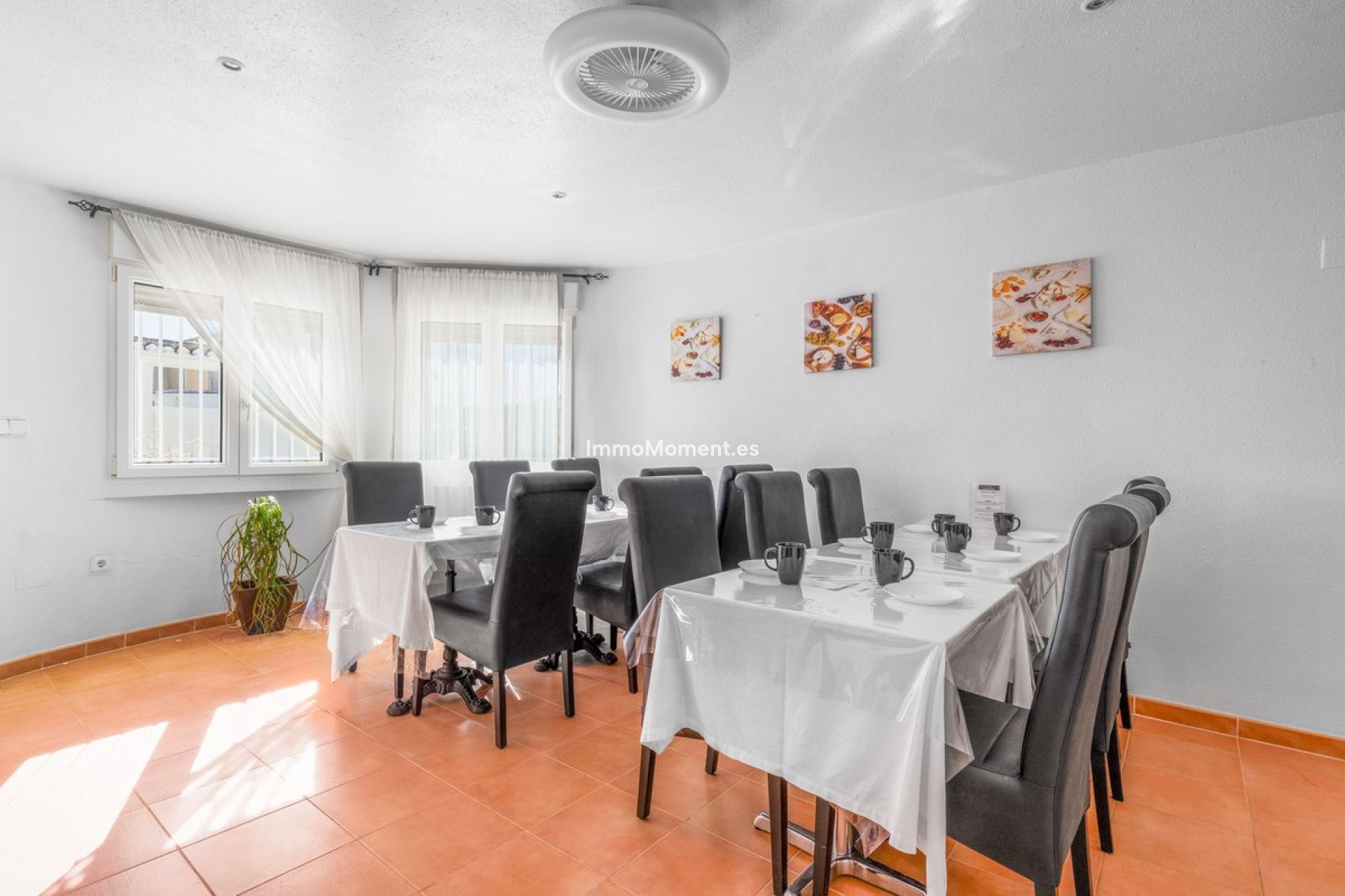 Bestaande woning - Villa - San Miguel de Salinas - San Miguel de Salinas Centro