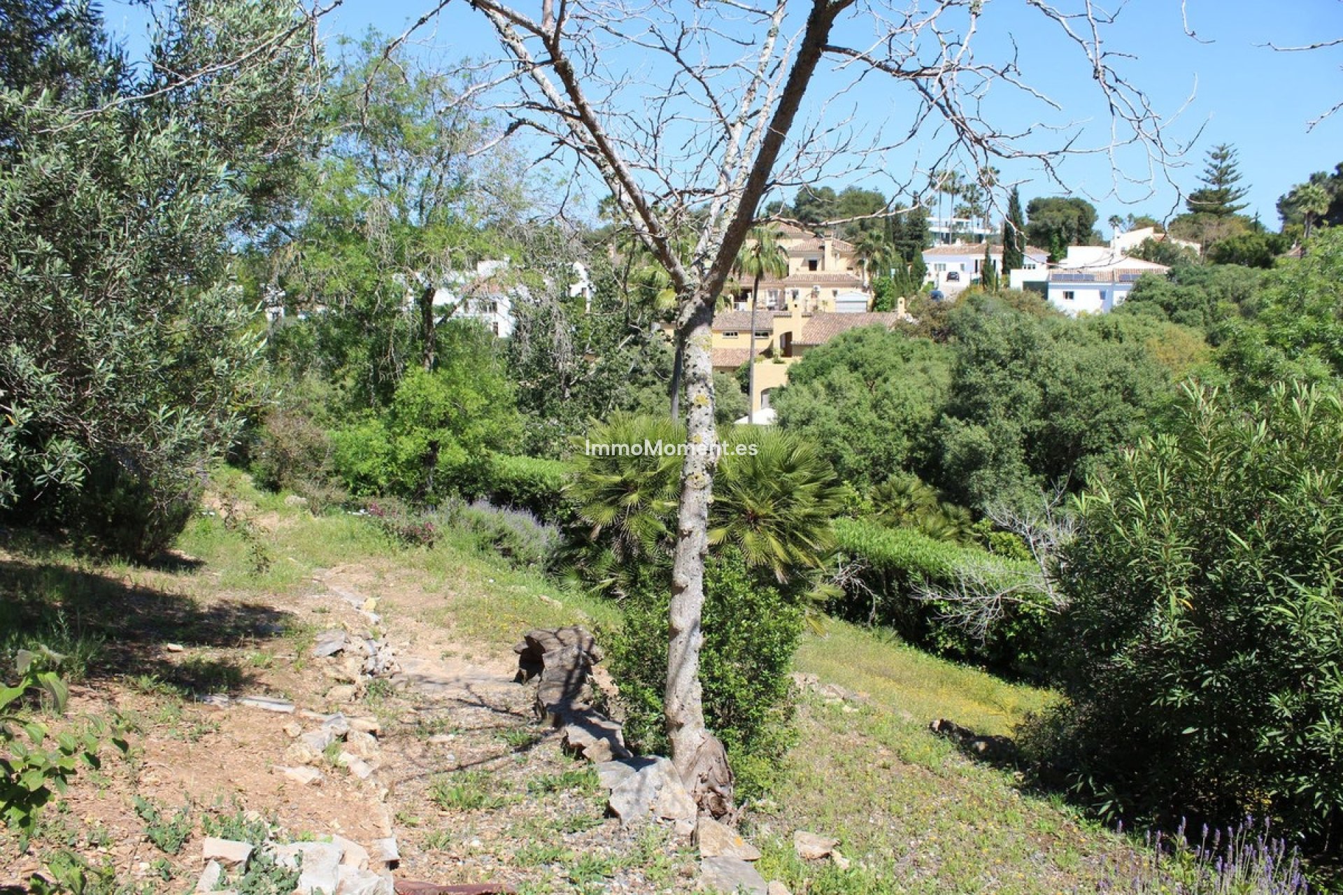 Bestaande woning - Villa - Sotogrande - Sotogrande Costa