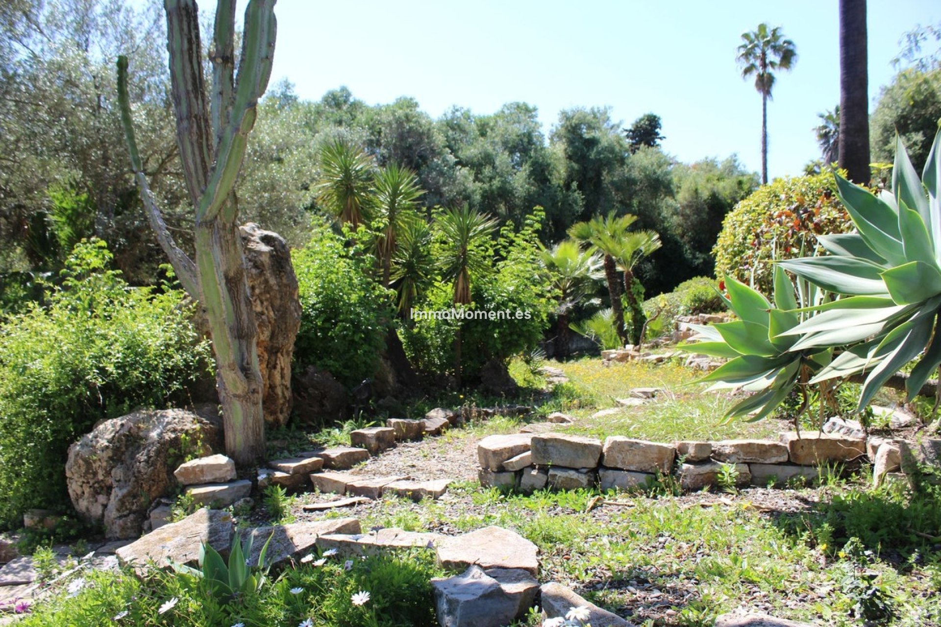 Bestaande woning - Villa - Sotogrande - Sotogrande Costa