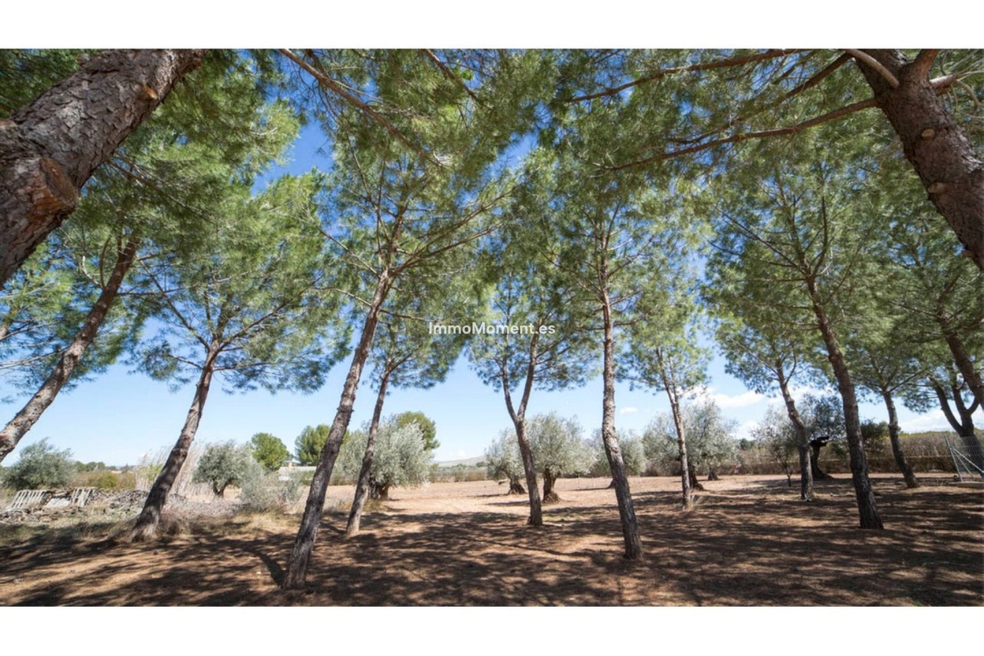 Bestaande woning - Villa - Yecla - Yecla Centro