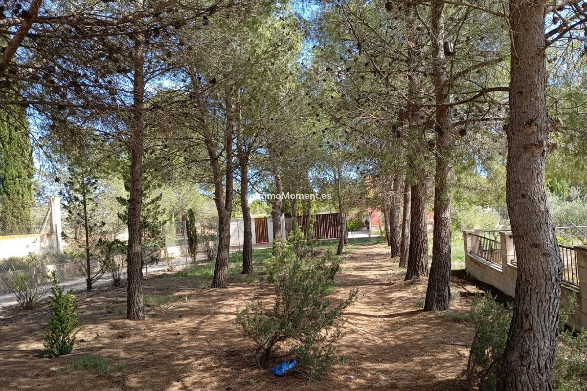 Bestaande woning - Villa - Yecla - Yecla Centro