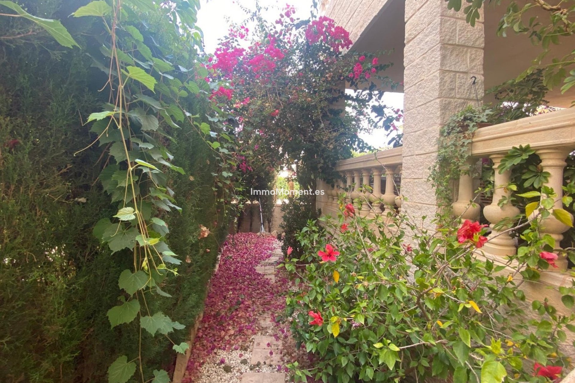 Bestaande woning - Vrijstaande villa - Alfaz del Pi - Albir