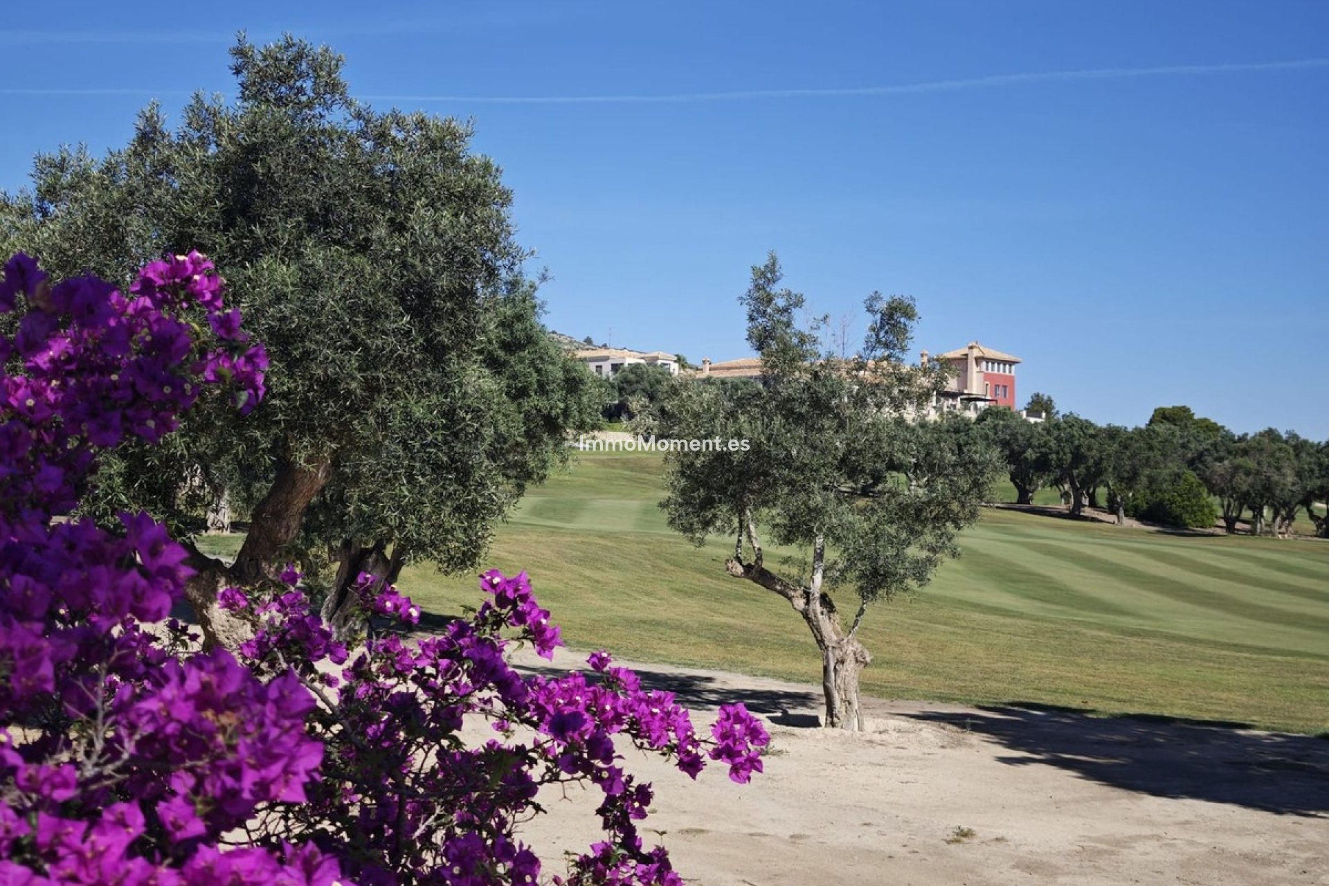 Bestaande woning - Vrijstaande villa - Algorfa - Algorfa Centro