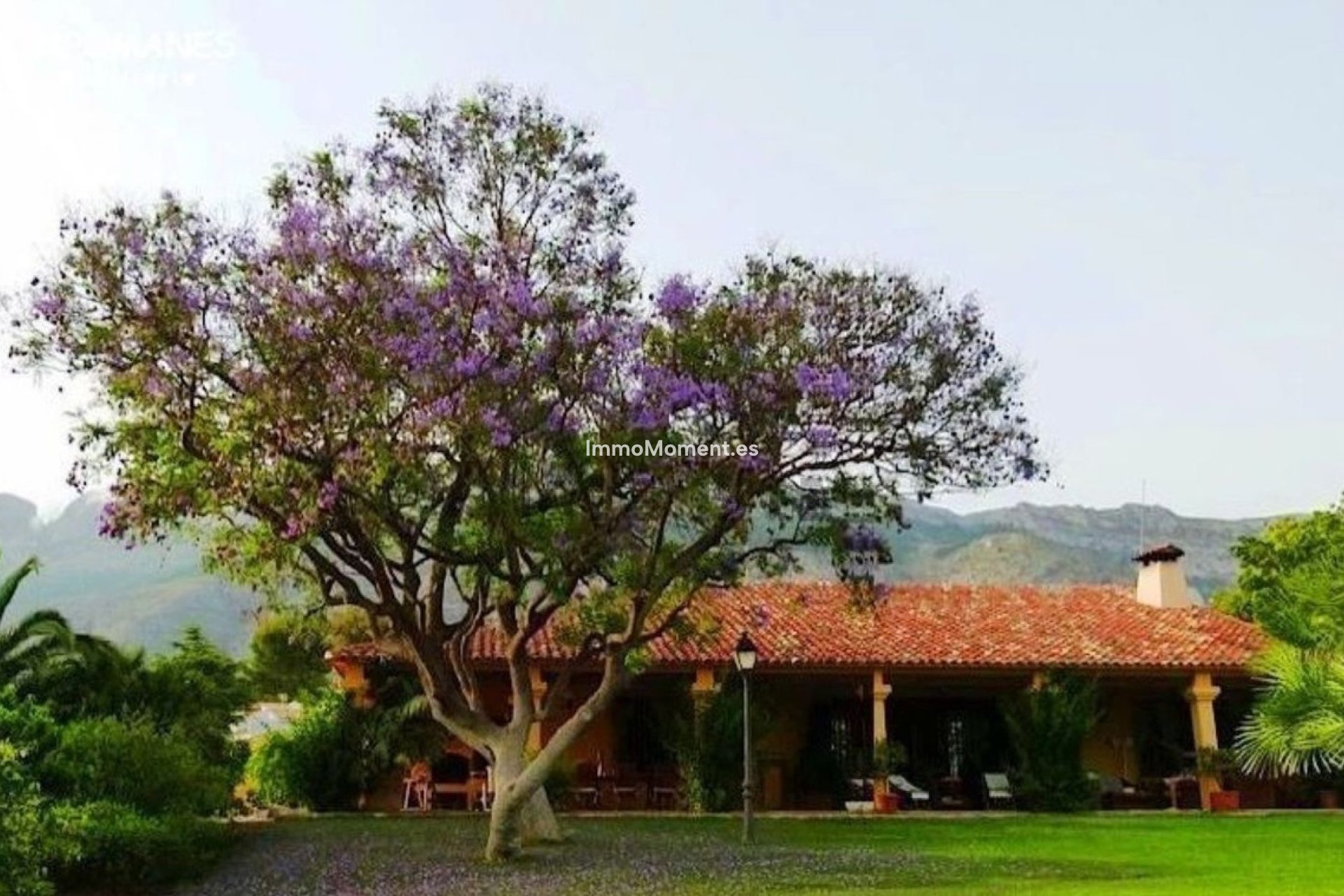 Bestaande woning - Vrijstaande villa - Altea - Altea Centro