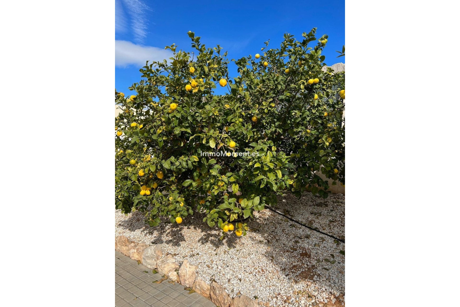 Bestaande woning - Vrijstaande villa - Altea - Altea Centro