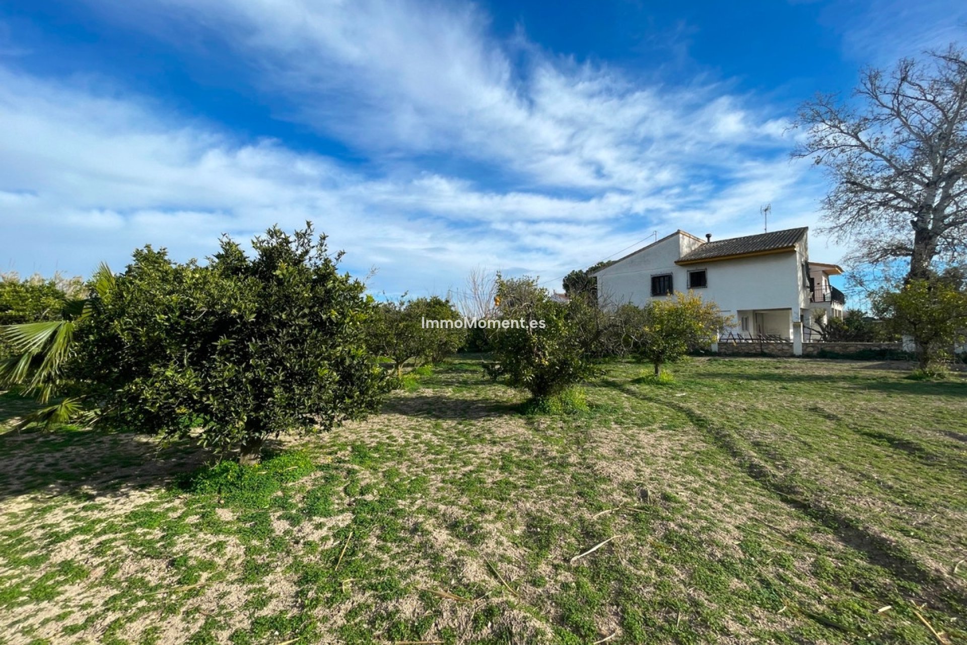 Bestaande woning - Vrijstaande villa - Benejúzar - Benejuzar Centro