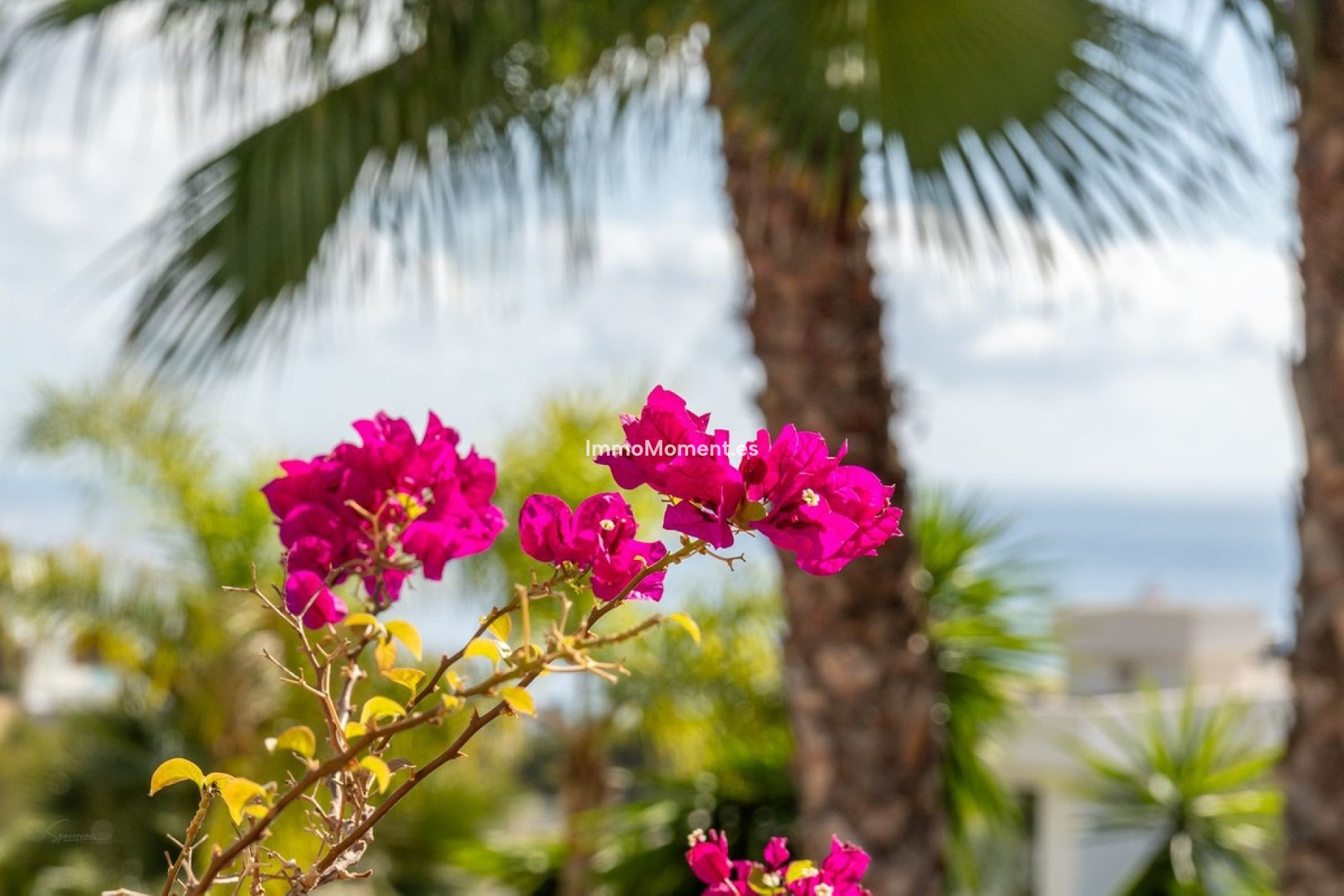 Bestaande woning - Vrijstaande villa - Benissa - Benissa Coast