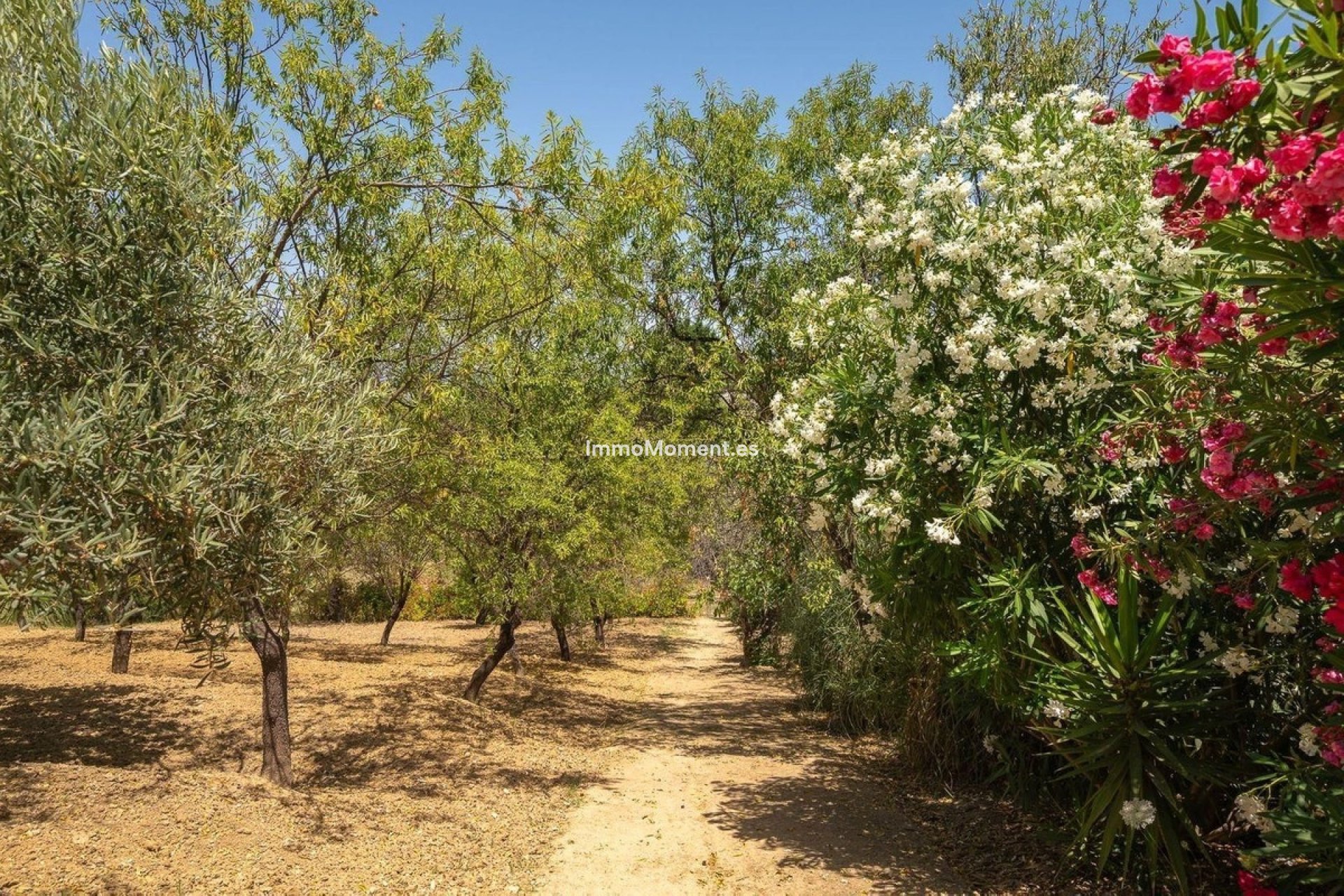 Bestaande woning - Vrijstaande villa - Binnenland  - Alhaurín el Grande Centro