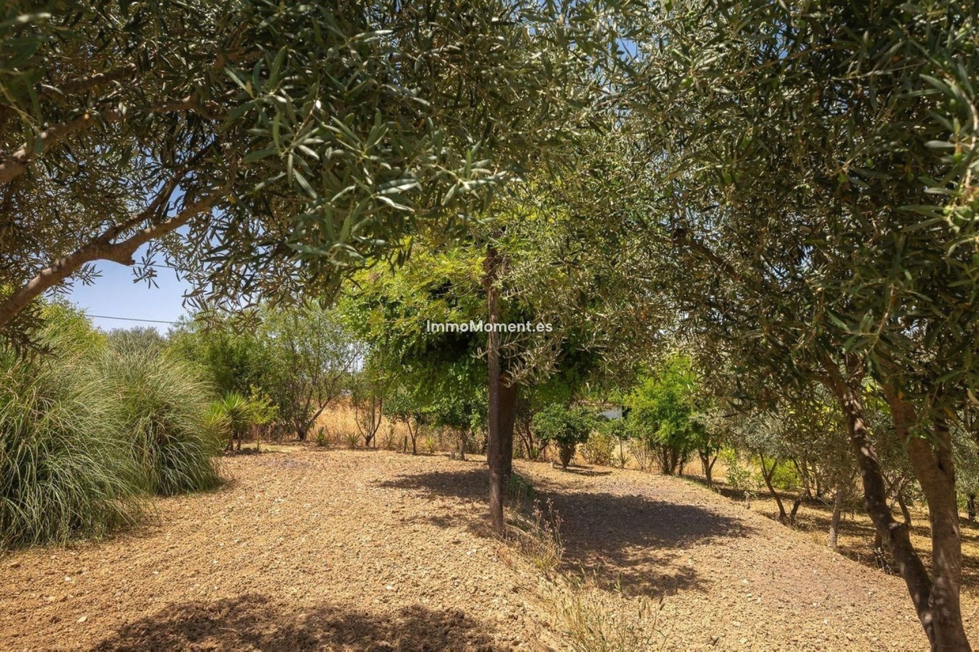 Bestaande woning - Vrijstaande villa - Binnenland  - Alhaurín el Grande Centro