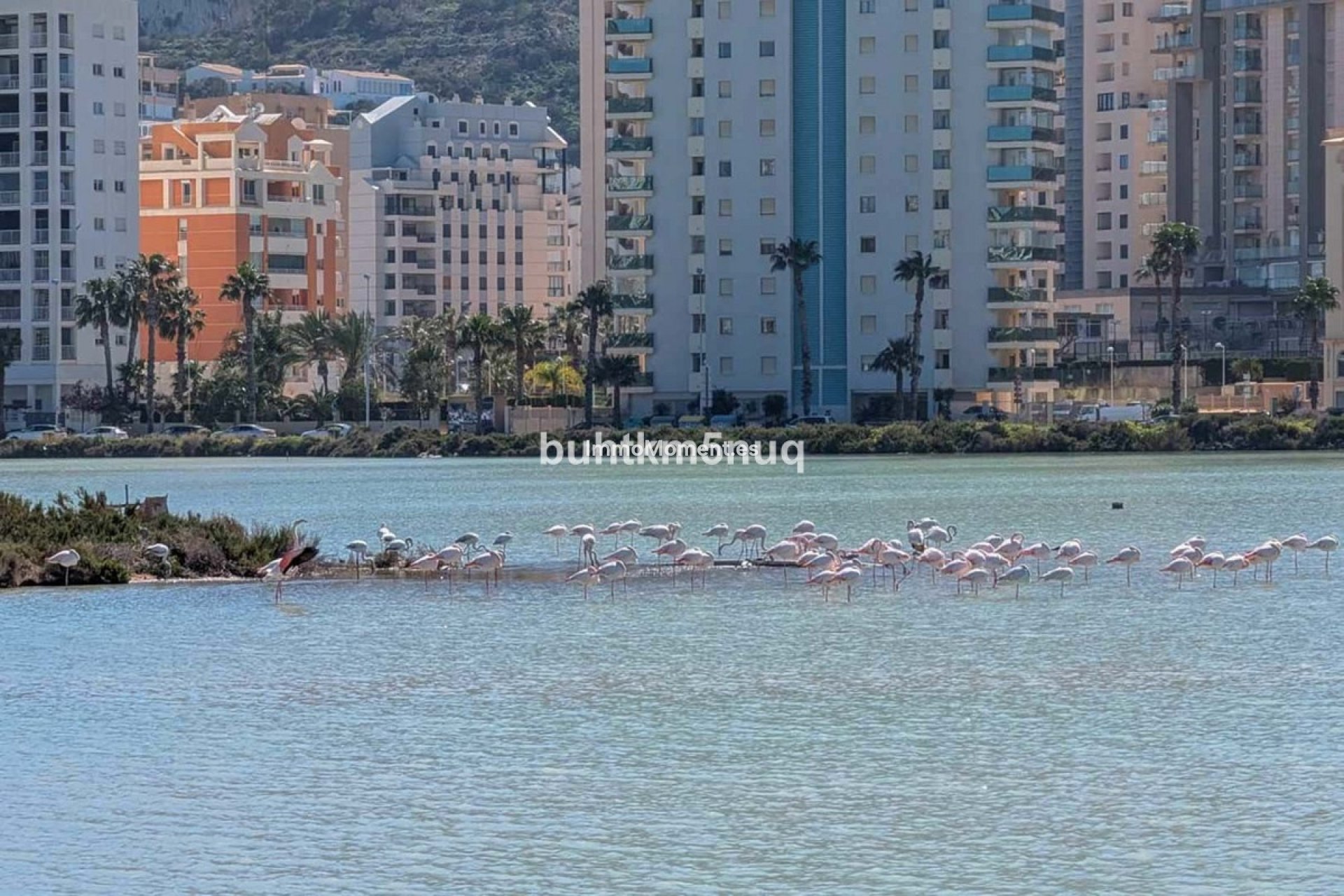 Bestaande woning - Vrijstaande villa - Calpe - Calpe Centro