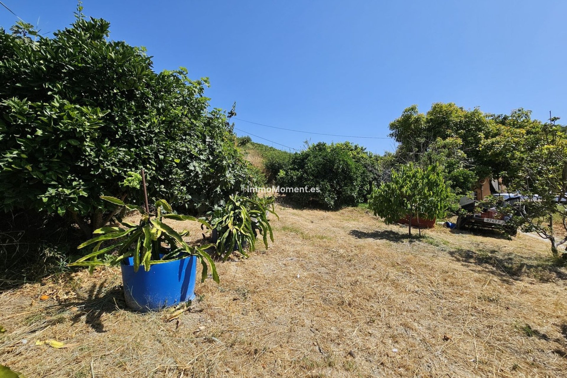 Bestaande woning - Vrijstaande villa - Casares - Casares Centro
