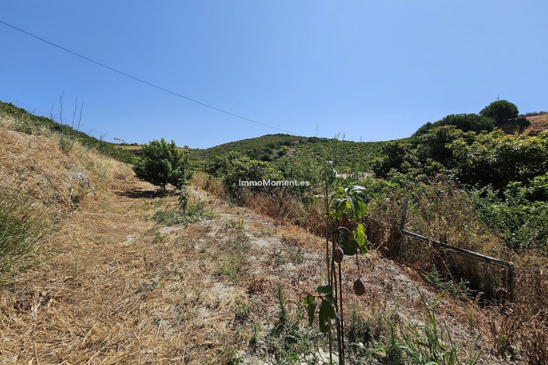 Bestaande woning - Vrijstaande villa - Casares - Casares Centro