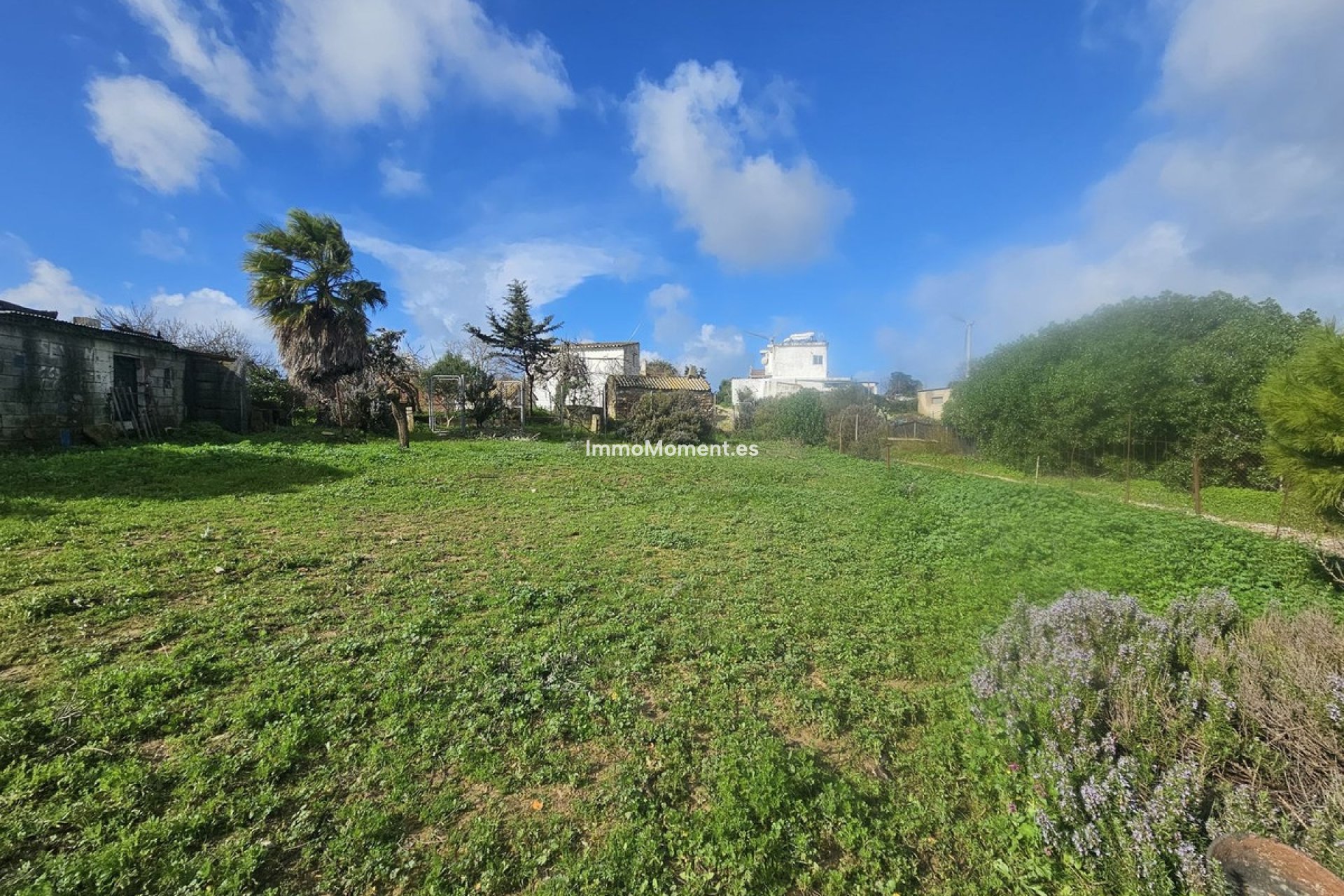 Bestaande woning - Vrijstaande villa - Casares - Casares Centro