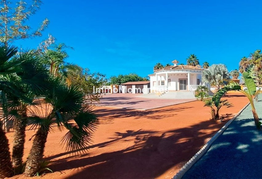 Bestaande woning - Vrijstaande villa - Catral - Catral Centro