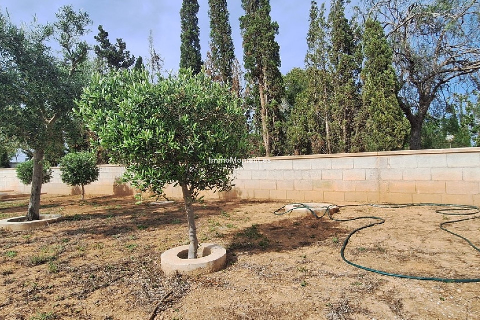 Bestaande woning - Vrijstaande villa - Elche - Elche Centro