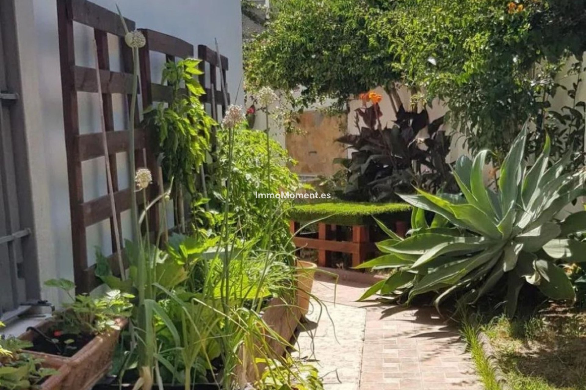 Bestaande woning - Vrijstaande villa - Estepona  - Estepona Centro