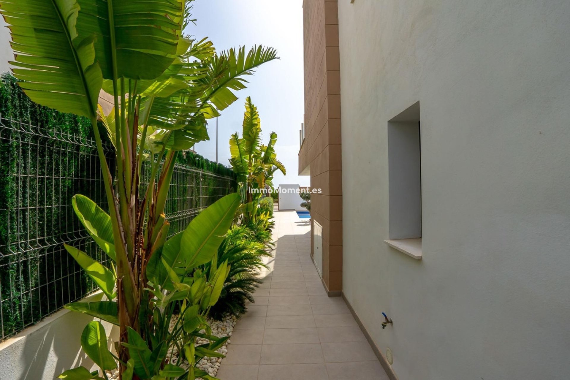 Bestaande woning - Vrijstaande villa - Guardamar del Segura - Urbanización El Raso