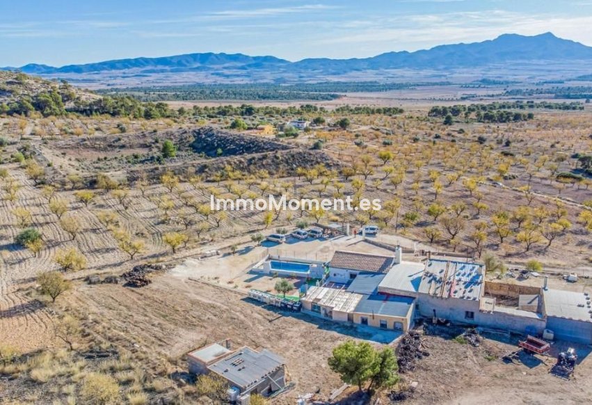 Bestaande woning - Vrijstaande villa - Jumilla - Jumilla Centro