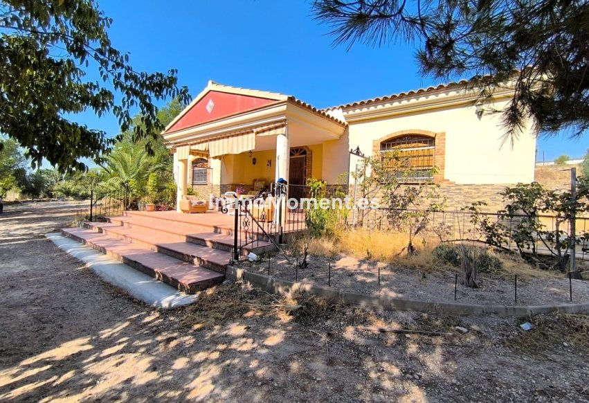 Bestaande woning - Vrijstaande villa - Jumilla - Jumilla Centro
