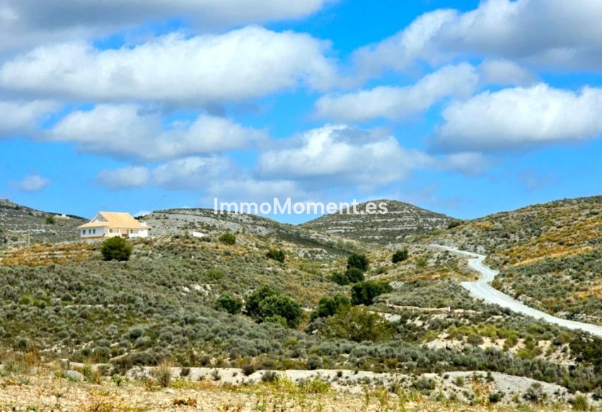 Bestaande woning - Vrijstaande villa - Lorca - Lorca Centro