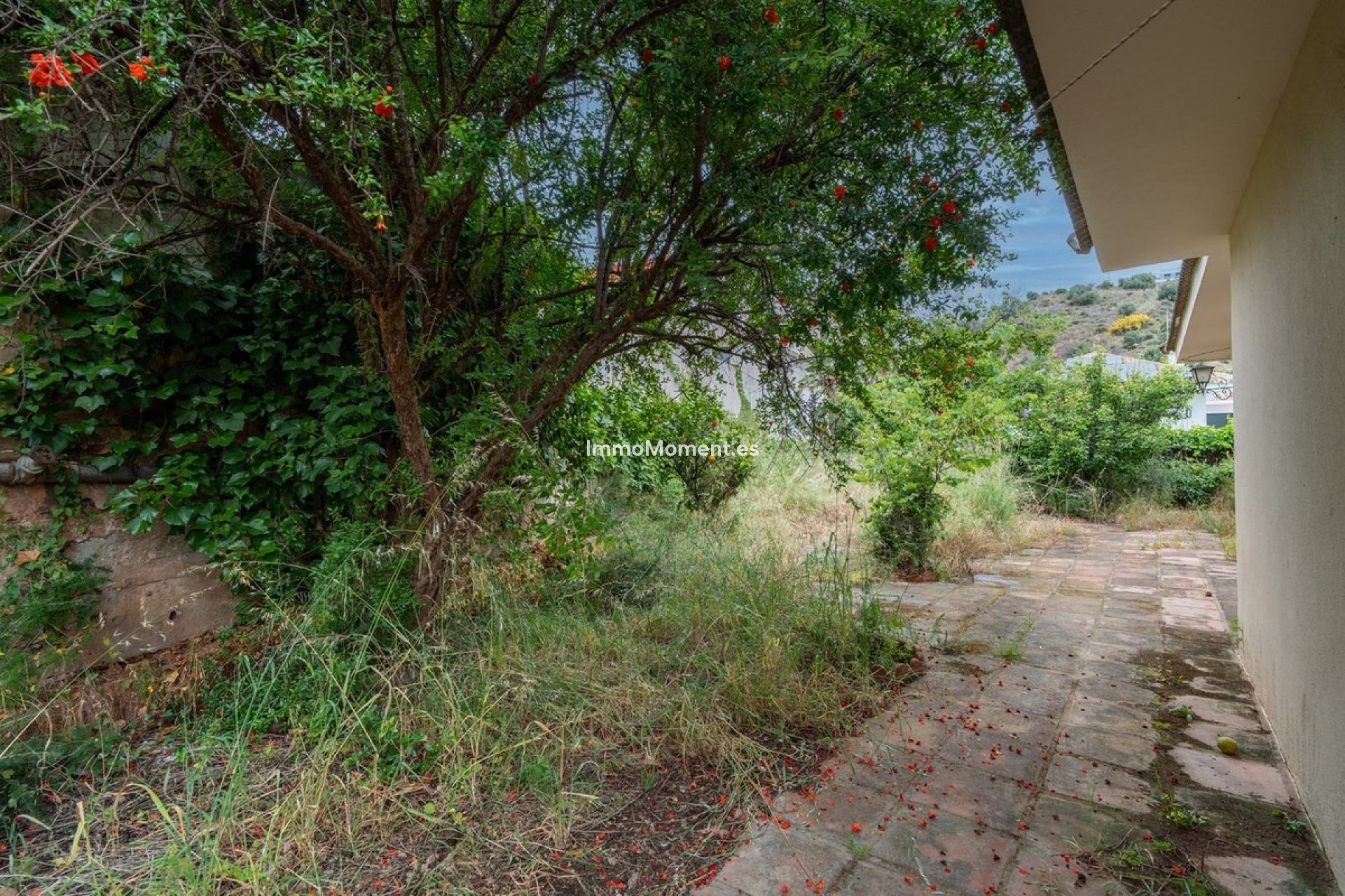 Bestaande woning - Vrijstaande villa - Málaga - Mayorazgo